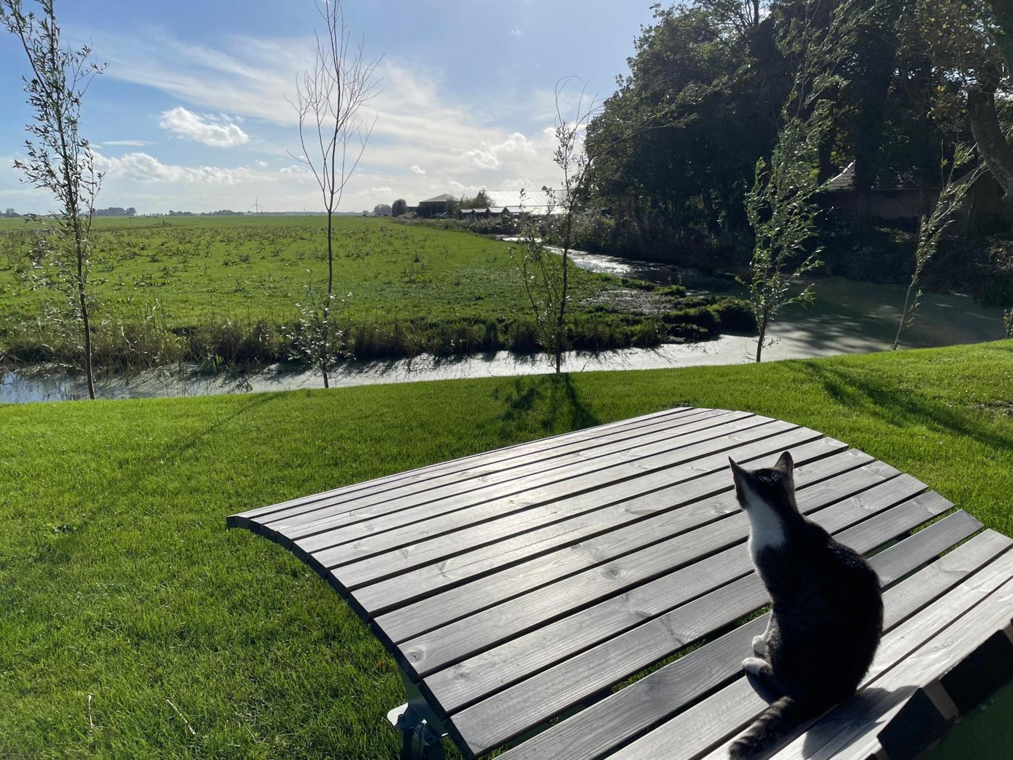 Bed And Breakfast De Salix Hitzum Luaran gambar